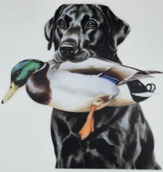 DTF Toddler Black Lab with duck