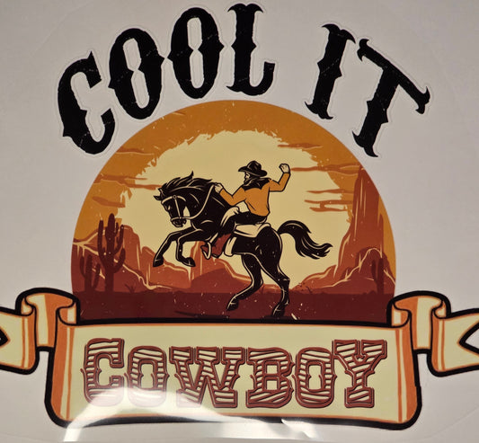 DTF Western "Cool It Cowboy" Rider Desert sunset background