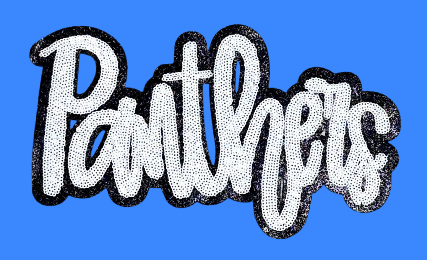 Panthers  Patch, Sequin Patch, Football Patch, Panthers Game Day Sequin Patch,  DIY, Iron on Patch, Black glitter backing
